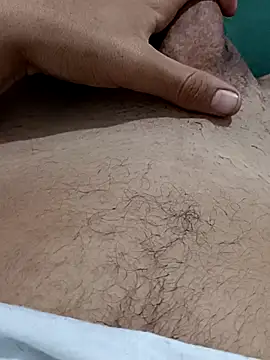 Show webcam de Iliase