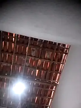 Phòng Chat Trực Tiếp viviksmel