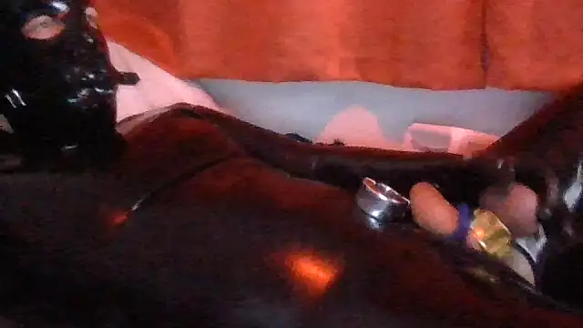 Show webcam de Rubberjoejoe