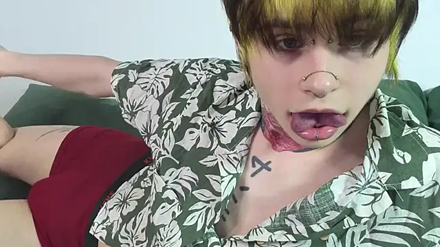 Alex_Vallleyn Webbikameraesitys