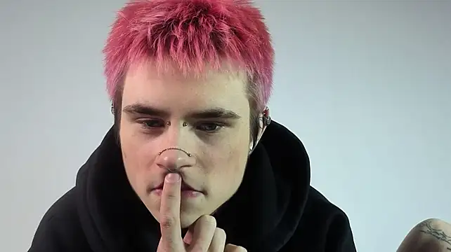 Alex_Vallleyn Webbikameraesitys