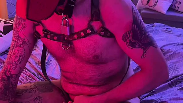 Вебкам-шоу danix_wild_wolf