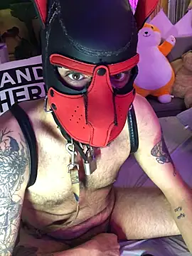 Webkamerová show danix_wild_wolf