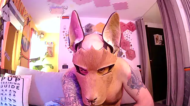 โชว์เว็บแคมของ danix_wild_wolf