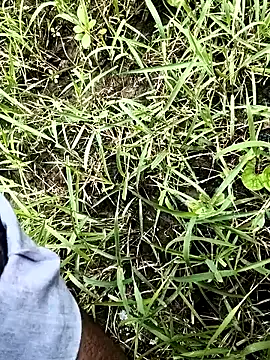 himvilohi08 Show Webcam