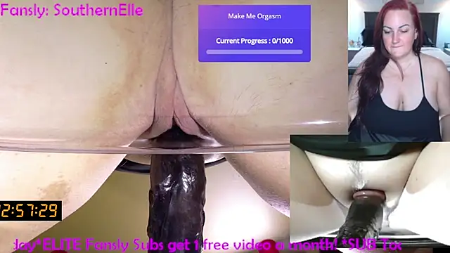 SouthernElle1's Webcam Show
