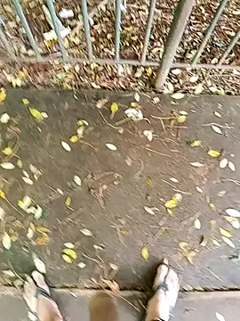 HS-hotsmile's Webcam Show