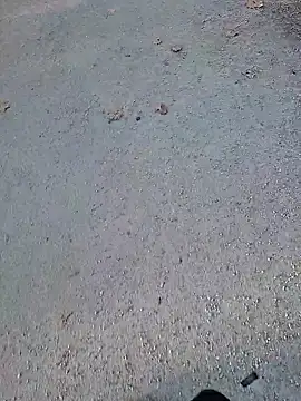 HornyTeacher1987 – webcam-show