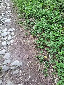 عرض كام HornyTeacher1987