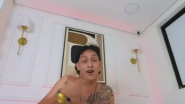 Stone_grey1_ Webcam-Show