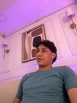 Stone_grey1_ Show Webcam