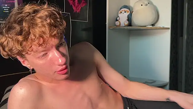 vogueslay Webcam-Show