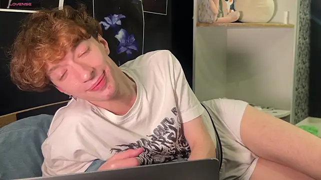Show webcam de vogueslay