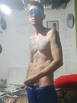 Yeisonfelin Webbikameraesitys