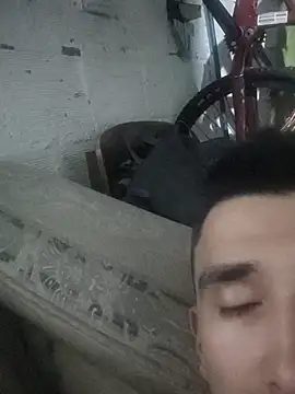 Yeisonfelin Webbikameraesitys