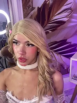 Andy_Leexn Webbikameraesitys