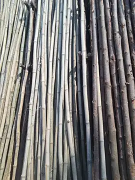 telugu_integer_hot's Webcam Show