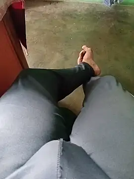 Playbo100 Show Webcam