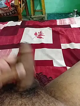 Show webcam de Playbo100