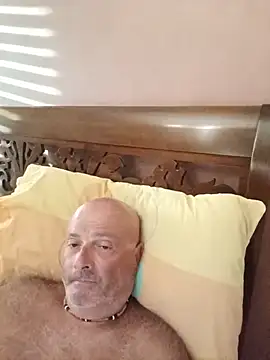 Alexis_Bull Show Webcam