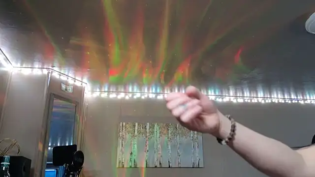 Show webcam de mavismable