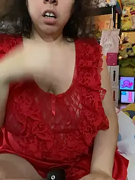 Show Webcam de w3tkittty