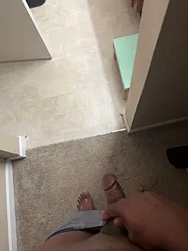 Show webcam de Frizee