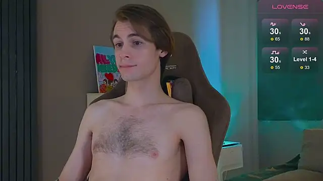 Show de webcam de DebugMee