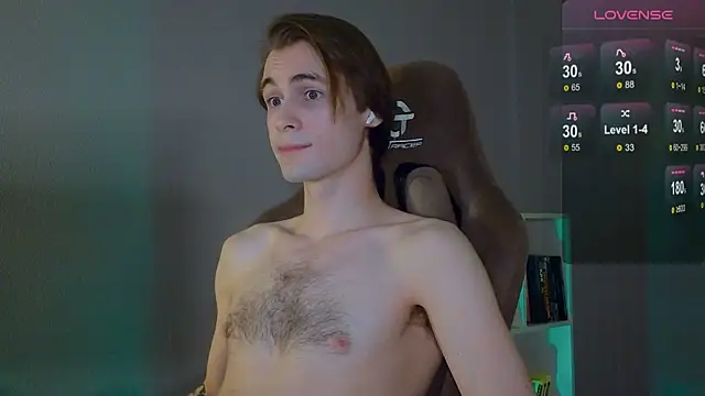 Show de webcam de DebugMee