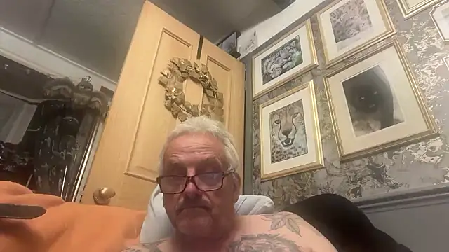Show modela poggles na web-kameri