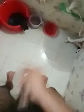 zim200 Pertunjukan Webcam