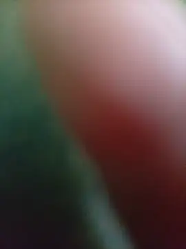srtsara's Live XXX Chat