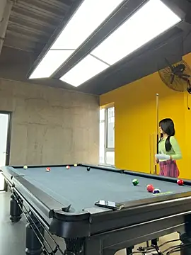 Ria-Flex 웹캠 쇼