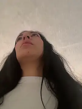 Show Webcam de SALOME_KORLAND