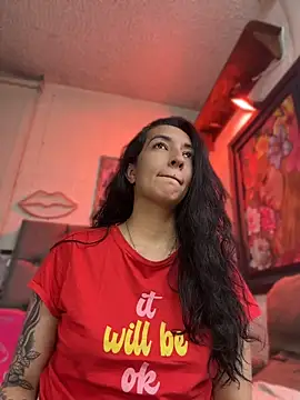 Show Webcam de SALOME_KORLAND