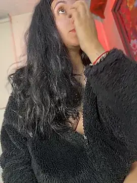 Show Webcam de SALOME_KORLAND