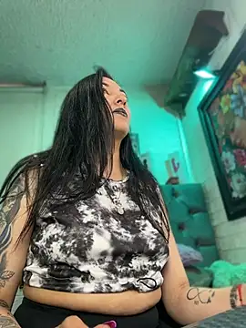 Show webcam de SALOME_KORLAND