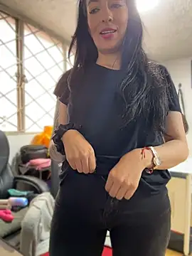 Show Webcam de SALOME_KORLAND