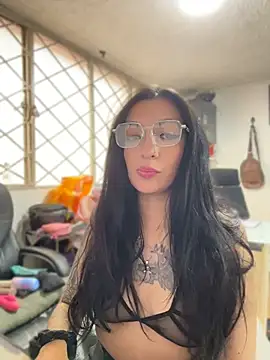 Show Webcam de SALOME_KORLAND