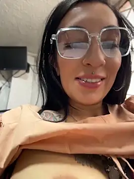 Show Webcam de SALOME_KORLAND