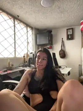 Show webcam de SALOME_KORLAND