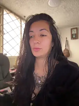 Show Webcam de SALOME_KORLAND