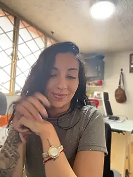 Show Webcam de SALOME_KORLAND