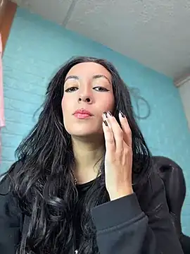 Show Webcam de SALOME_KORLAND