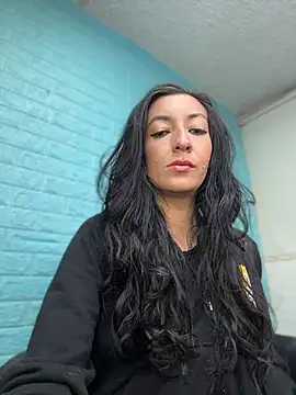 Show Webcam de SALOME_KORLAND