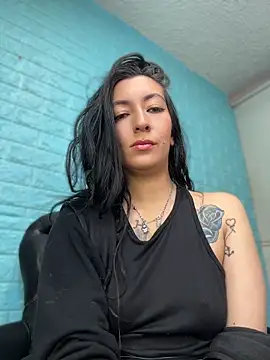 Show webcam de SALOME_KORLAND