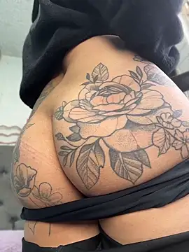 Show Webcam de SALOME_KORLAND