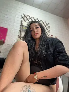 Show webcam de SALOME_KORLAND