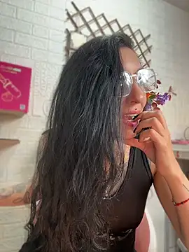 Show Webcam de SALOME_KORLAND