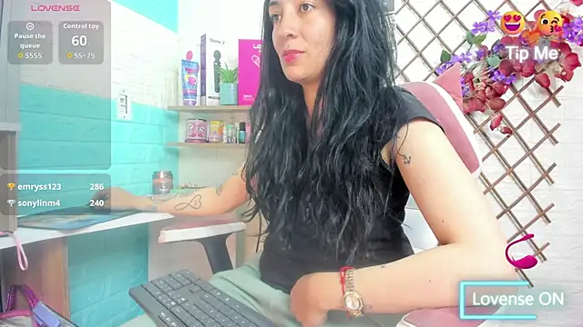 Show Webcam de SALOME_KORLAND